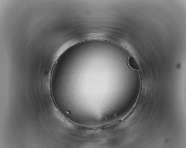 X0000092101386200709191257