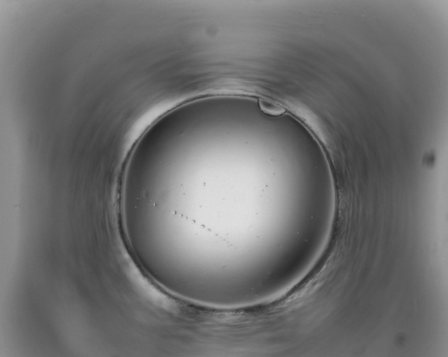 X0000092101387200709191257