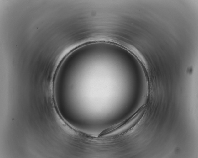 X0000092101388200709191257