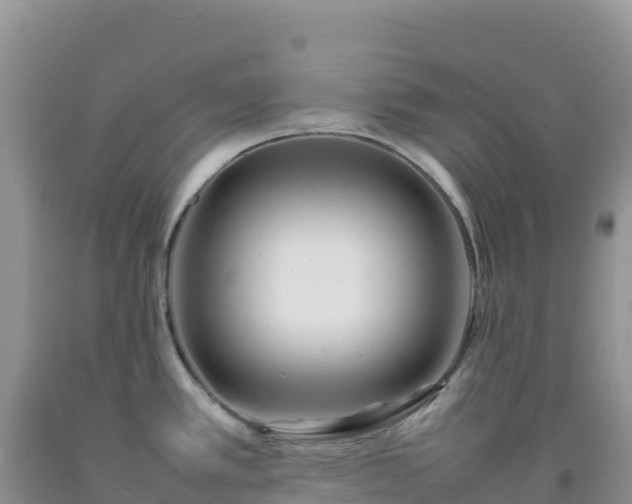 X0000092101389200709191257