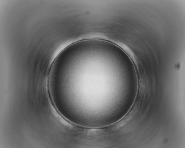 X0000092101390200709191257