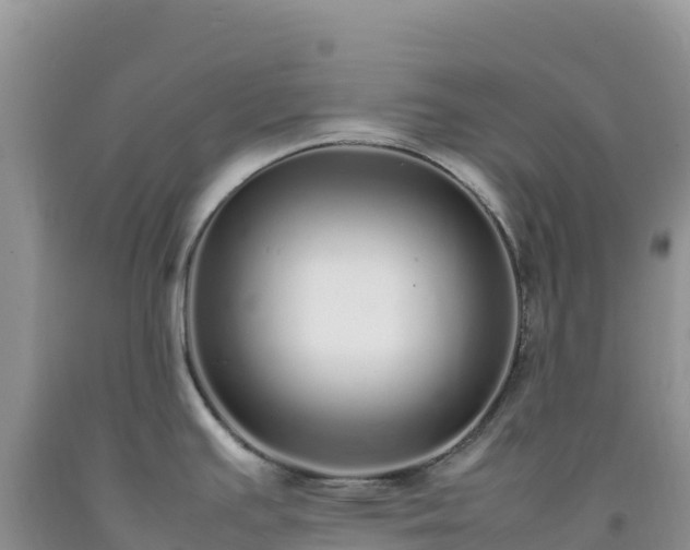 X0000092101391200709191257