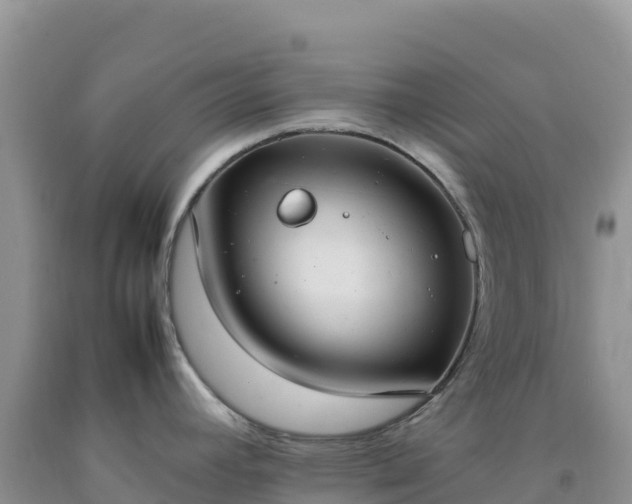 X0000092101392200709191257