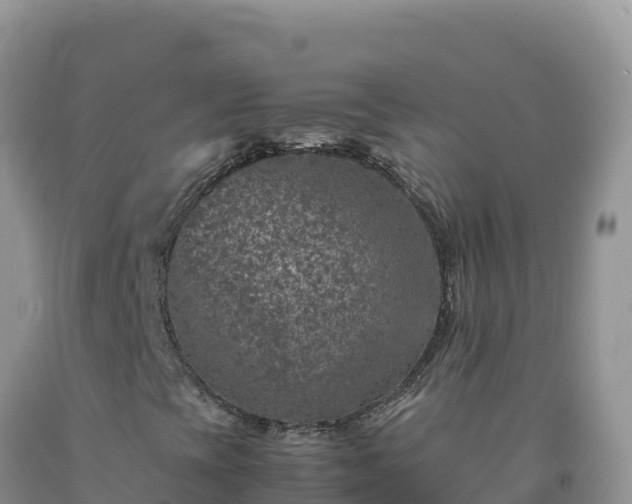 X0000092101393200709191256