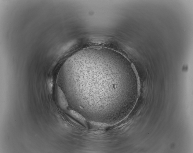 X0000092101394200709191256