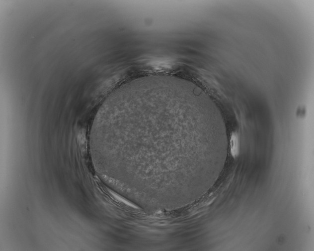 X0000092101395200709191256