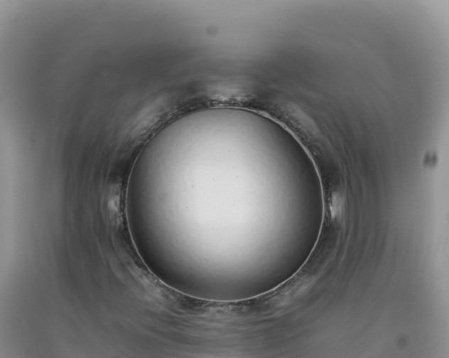 X0000092101396200709191256