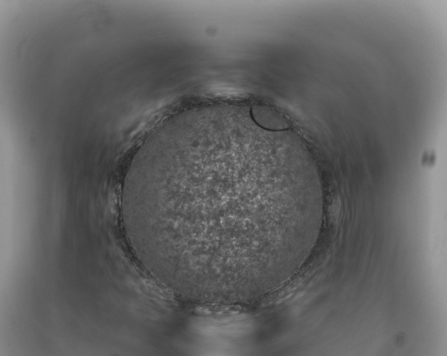 X0000092101397200709191256