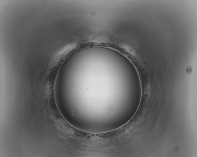 X0000092101398200709191256