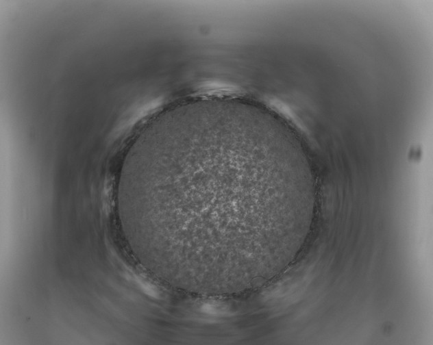 X0000092101399200709191256