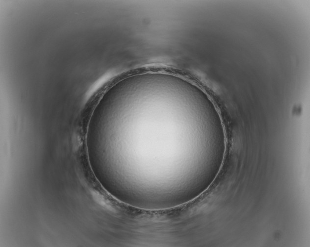 X0000092101400200709191256