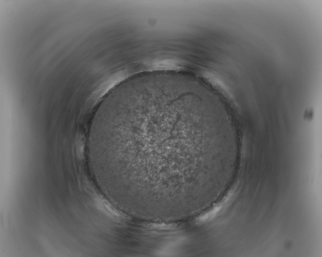 X0000092101401200709191256