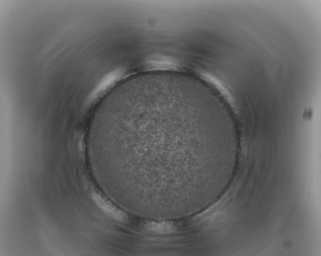 X0000092101403200709191256