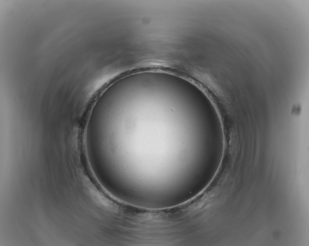 X0000092101404200709191256