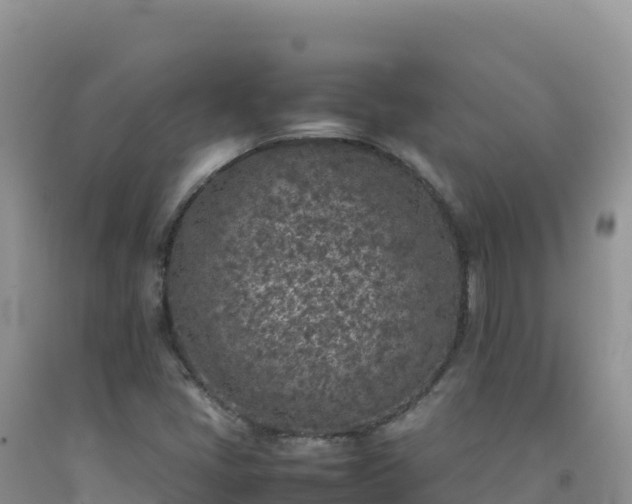 X0000092101405200709191256