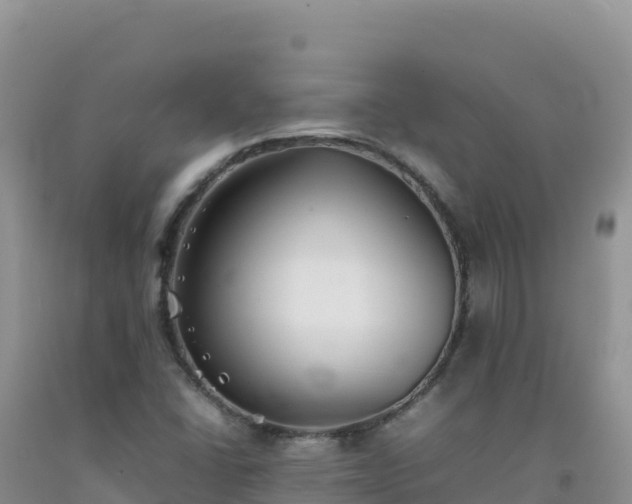 X0000092101406200709191256