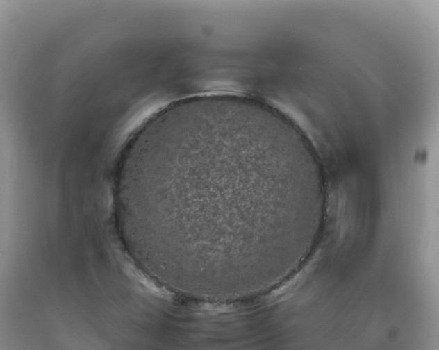 X0000092101407200709191256