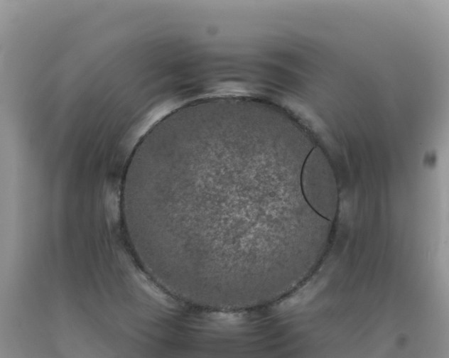 X0000092101409200709191256