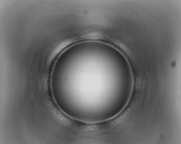 X0000092101410200709191256