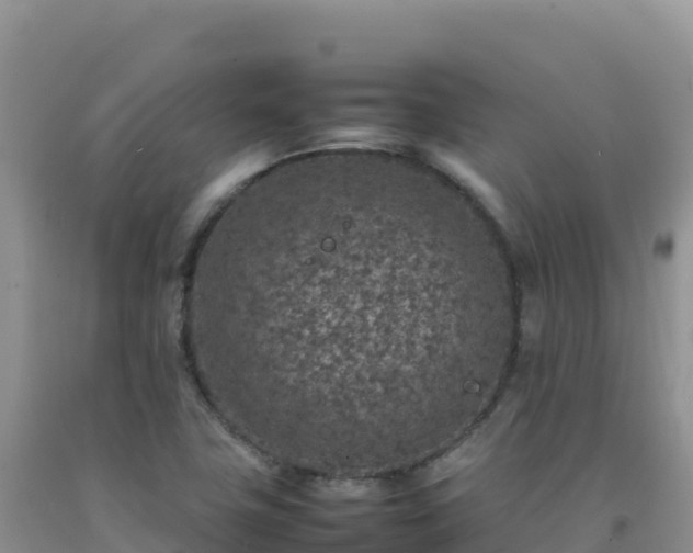 X0000092101411200709191256