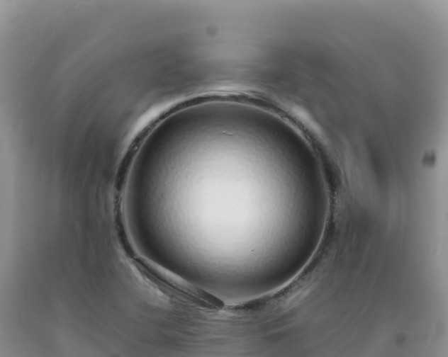 X0000092101412200709191256