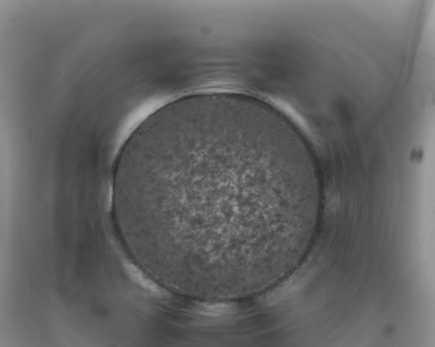 X0000092101413200709191257