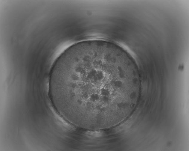 X0000092101415200709191257