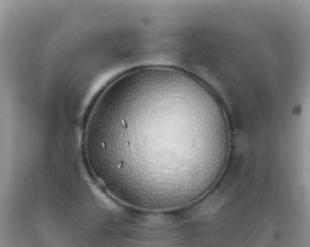 X0000092101416200709191257