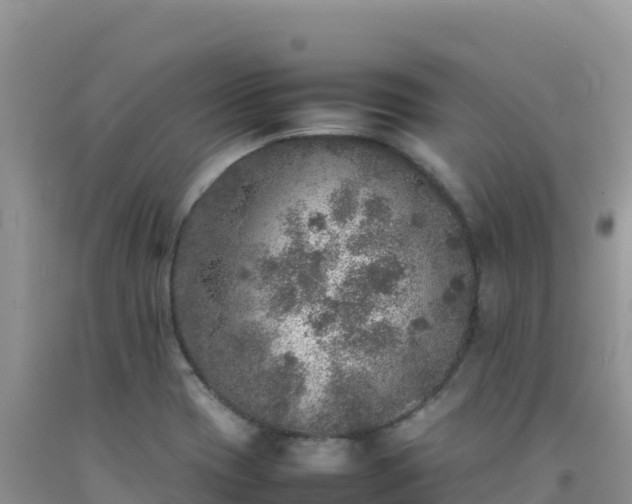 X0000092101417200709191257