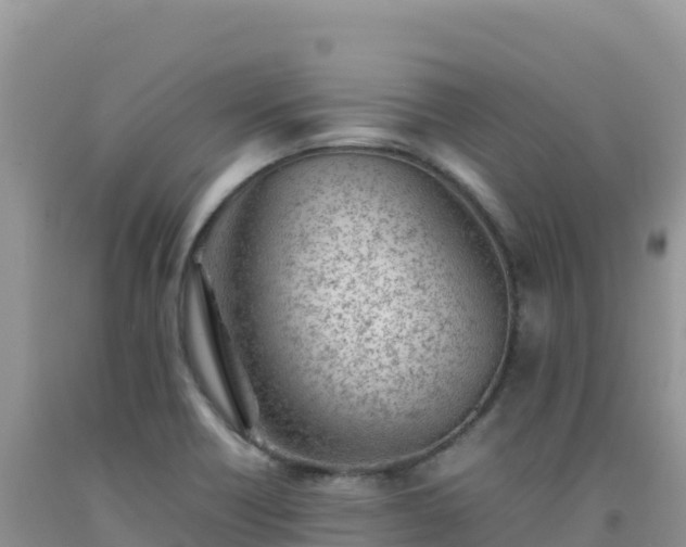 X0000092101418200709191257