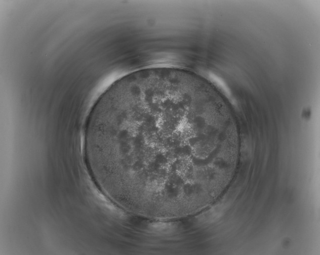 X0000092101419200709191257