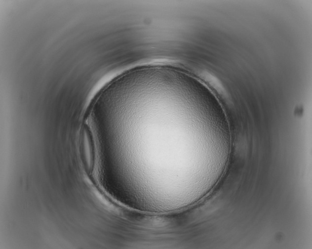 X0000092101420200709191257