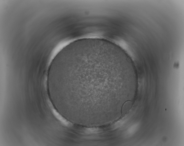 X0000092101421200709191257