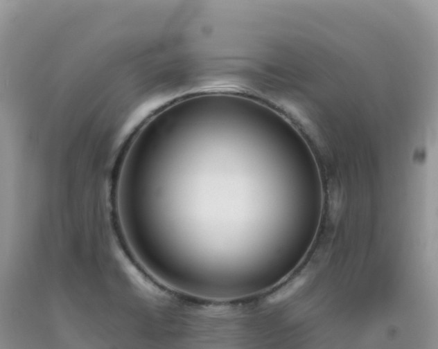 X0000092101422200709191257