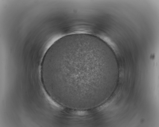 X0000092101423200709191257