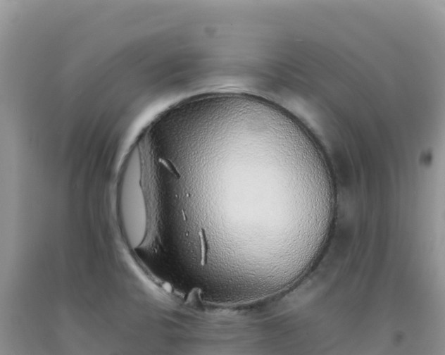 X0000092101424200709191257