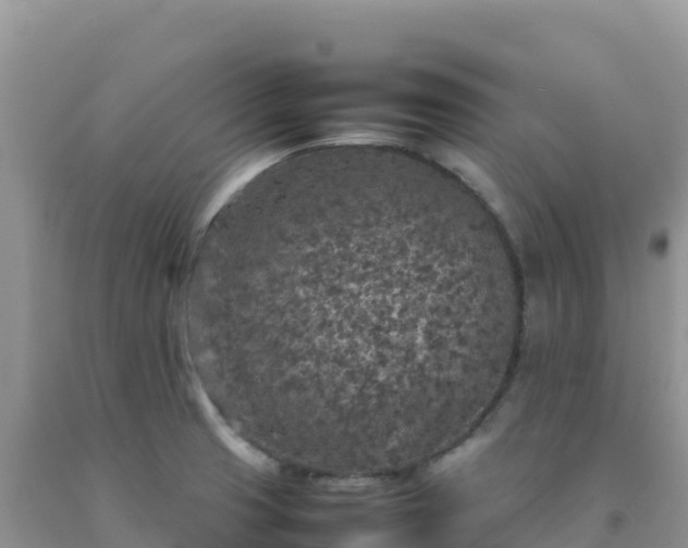 X0000092101425200709191257