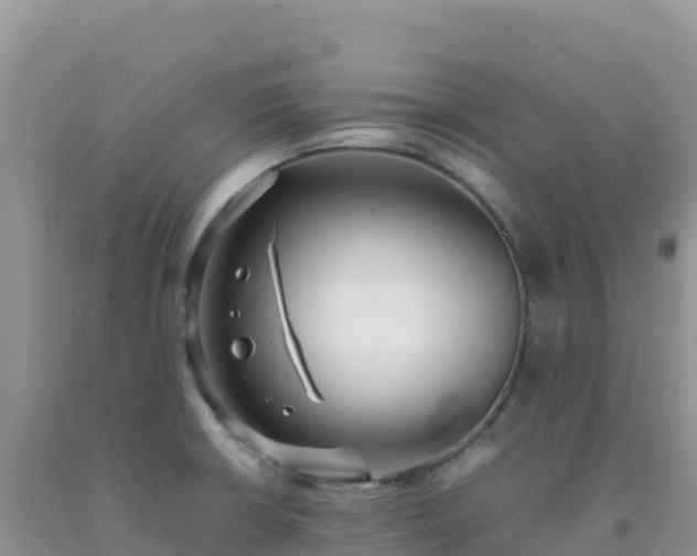 X0000092101426200709191257