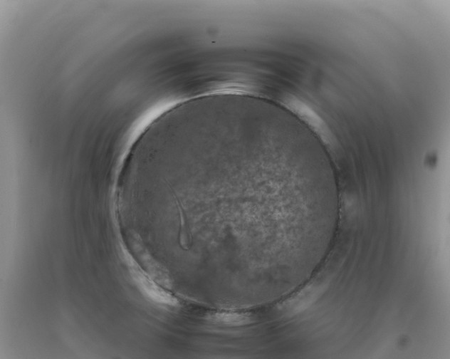 X0000092101427200709191257