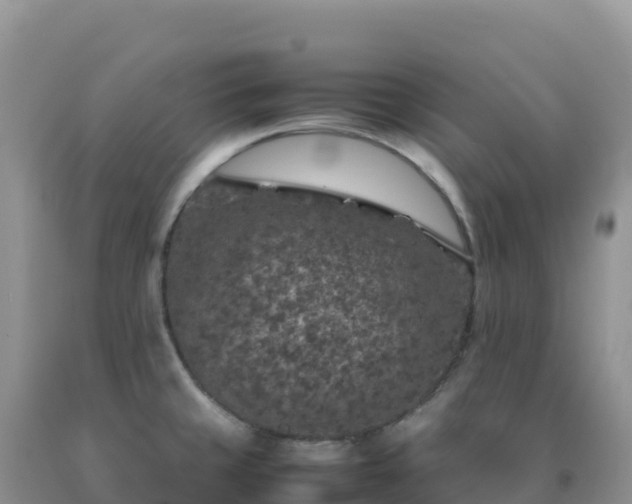 X0000092101429200709191257