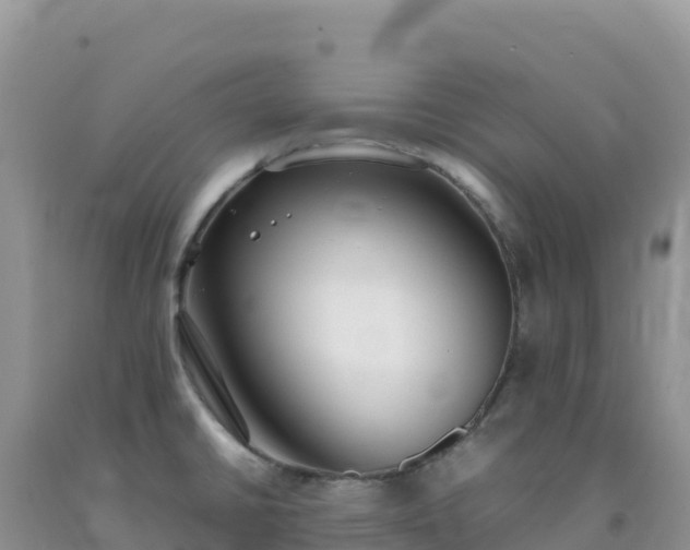 X0000092101430200709191257