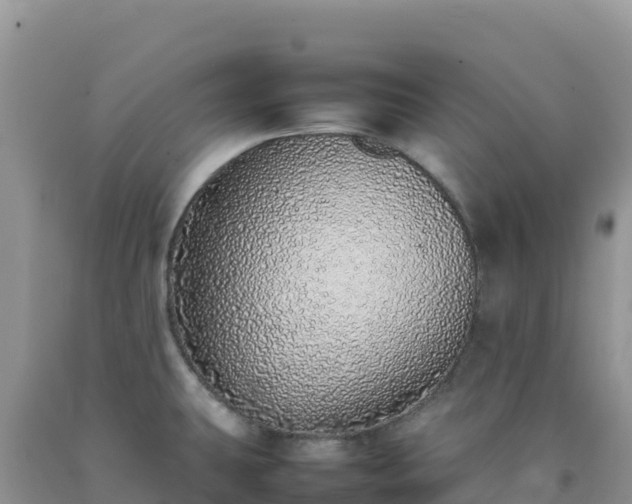 X0000092101431200709191257