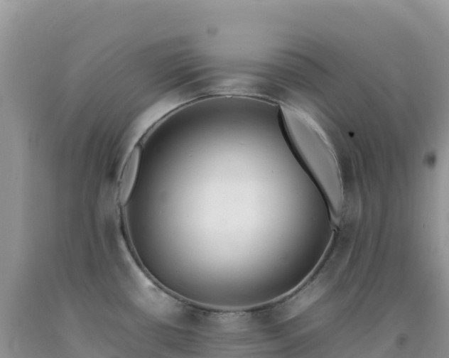 X0000092101434200709191257