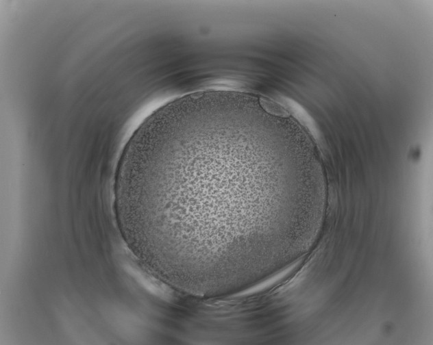 X0000092101435200709191257