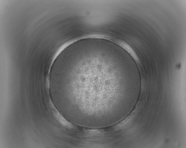 X0000092101436200709191257