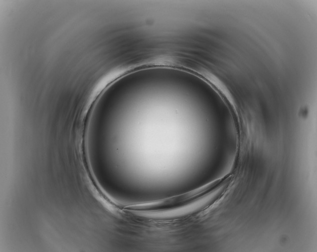 X0000092101437200709191257