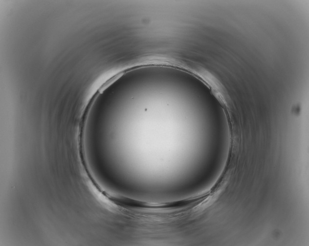 X0000092101438200709191257