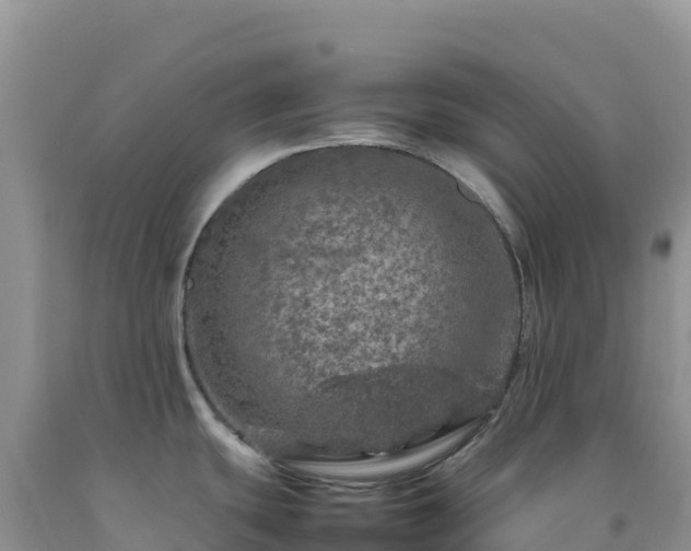 X0000092101439200709191257