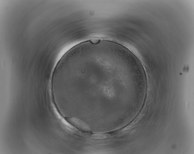 X0000092101440200709191257