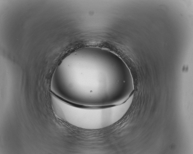 X0000092101441200709191256